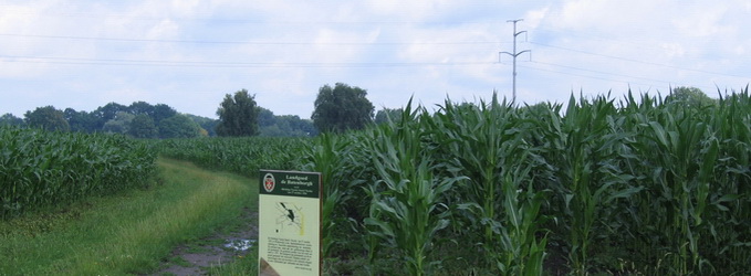 Zicht op het Arresveld, vanaf kruising Grotersweg, Dollemansweg, en spoorlijn naar Groenlo. F3