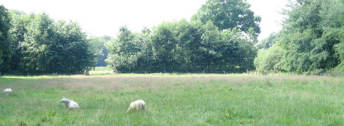 Zicht vanaf Landgoed Mentink, nabij kruising Grotersweg, spoorlijn naar Groenlo en het oude spoor (nu wandelpad). G2